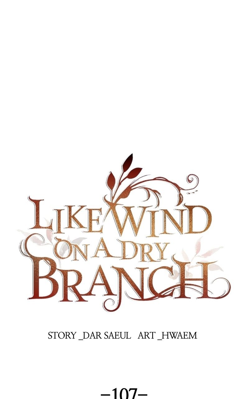 Like A Wind On A Dry Branch Chapter 107