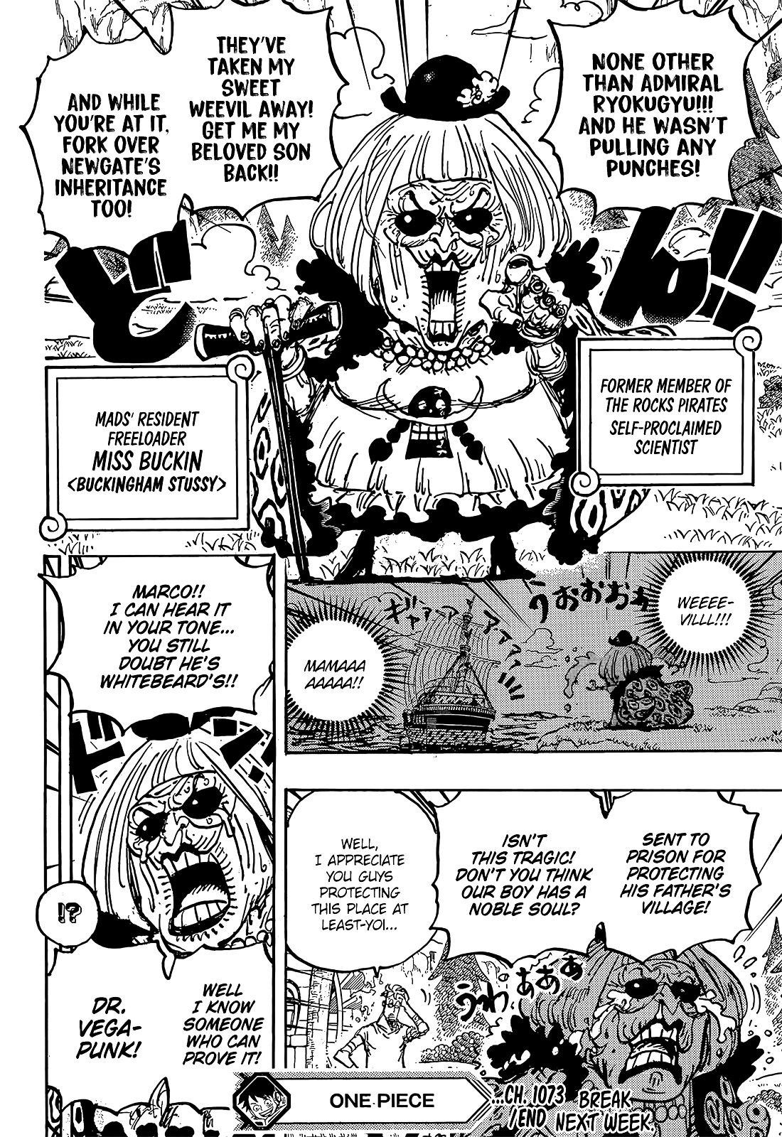 One Piece Chapter 1073