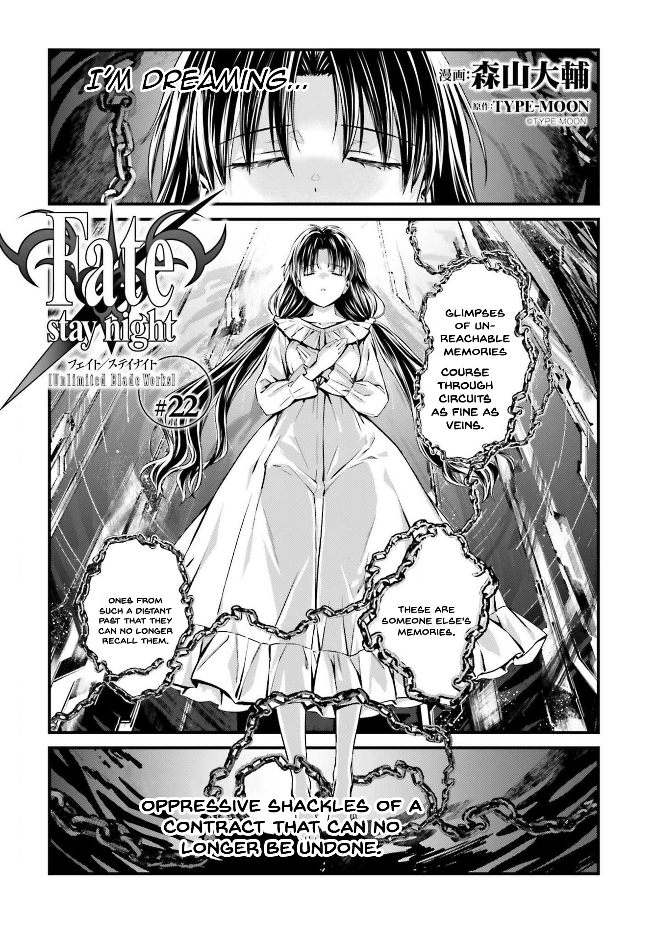 Fate/stay Night - Unlimited Blade Works Chapter 22.1