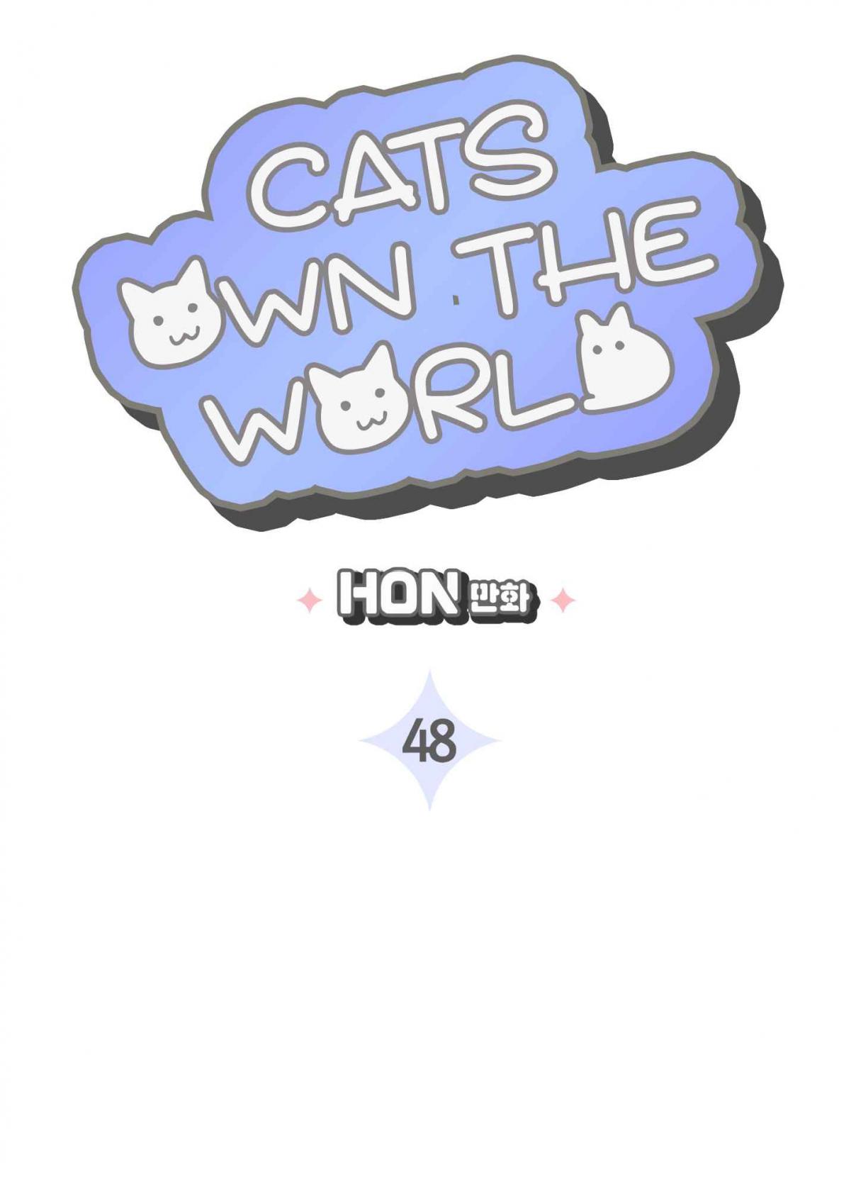 Cats Own the World 48