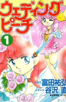 Wedding Peach Vol.6 Chapter 26.1: Special Story
