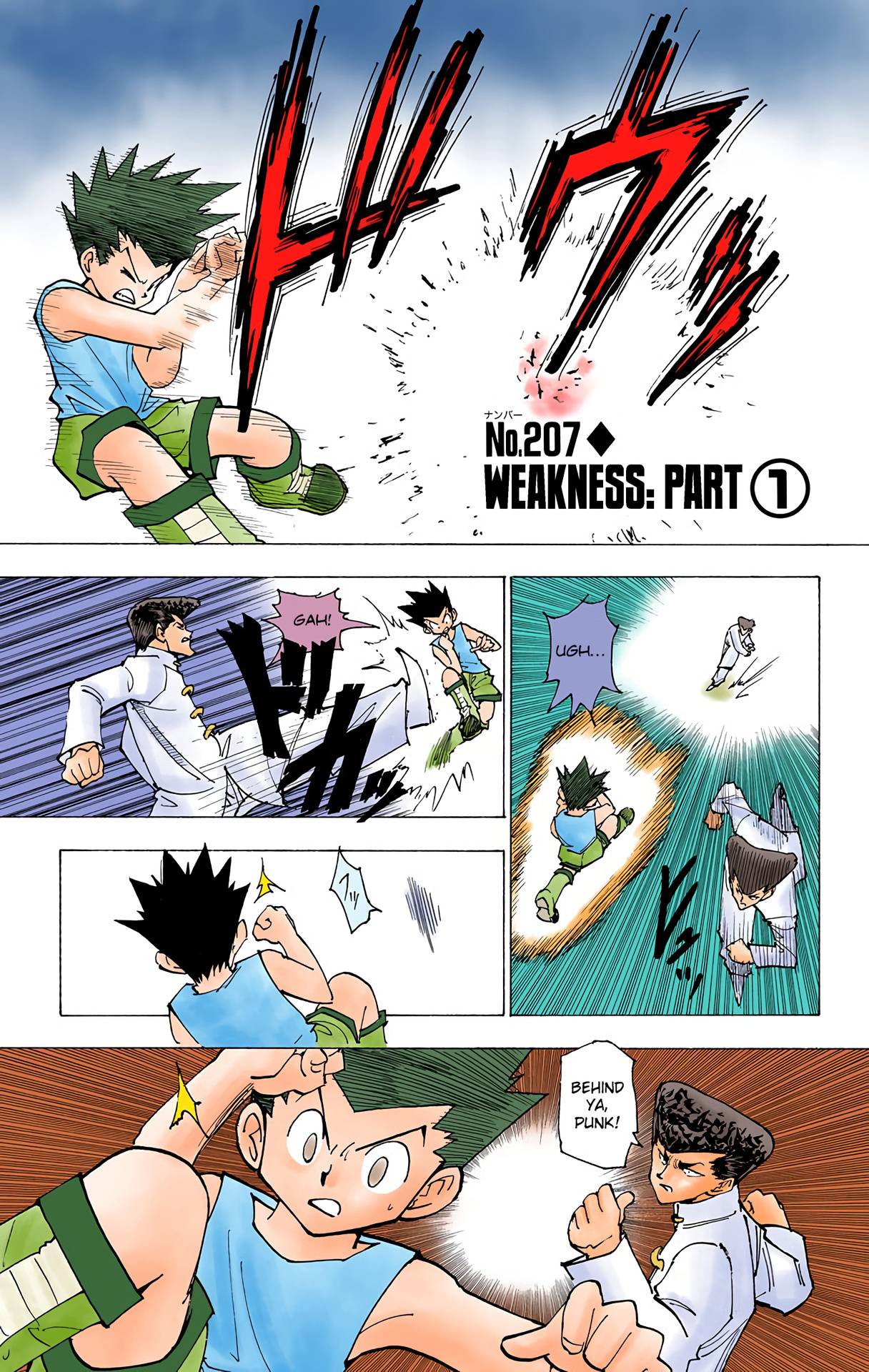Hunter x Hunter (Full Color) Vol.20 Chapter 207: Weakness