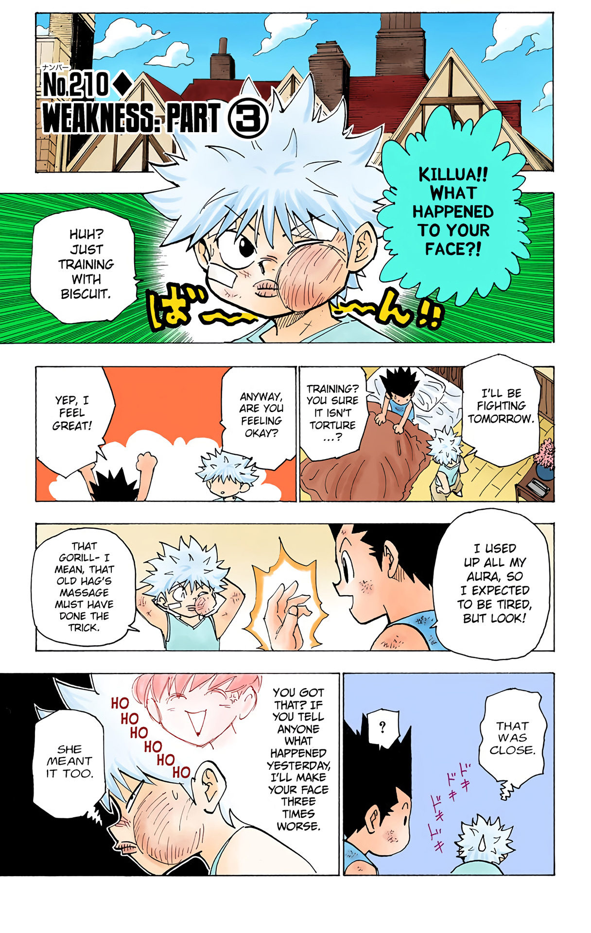 Hunter x Hunter (Full Color) Vol.20 Chapter 210: Weakness
