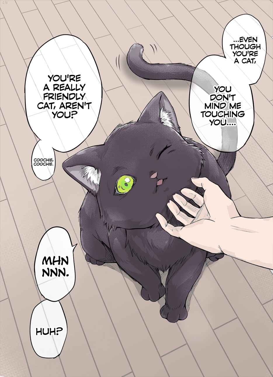 The Yandere Pet Cat is Overly Domineering(Fan Colored) 2