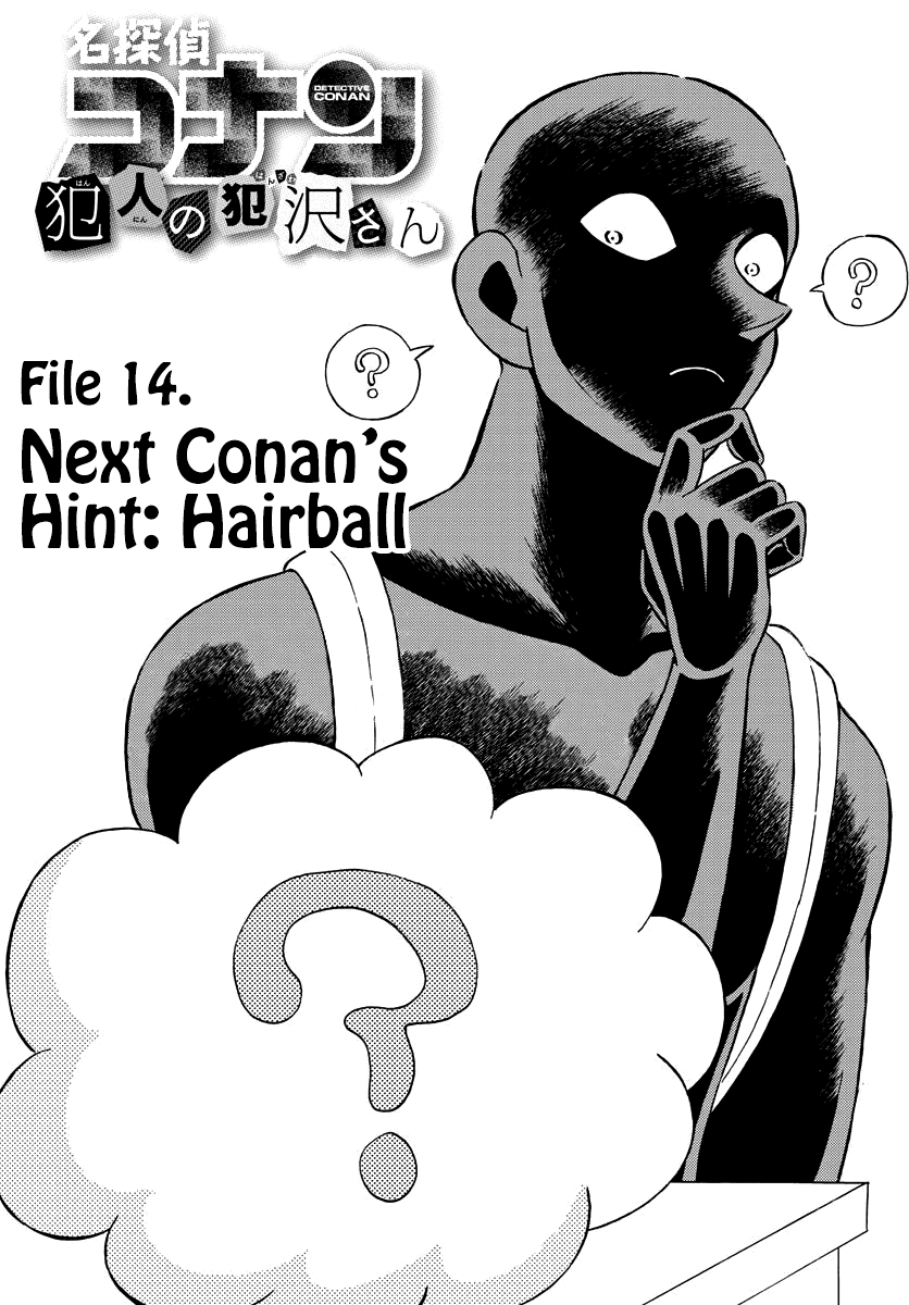 Detective Conan: The Culprit Hanazawa-san 14