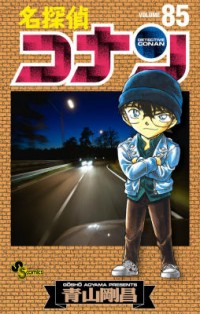 Detective Conan Vol.96 Ch.1113