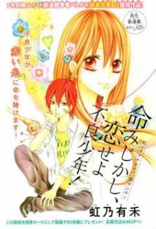 Inochi Mijikashi, Koi seyo Furyou Shounen! Manga