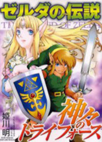 The Legend Of Zelda: A Link to the Past (HIMEKAWA Akira) Manga