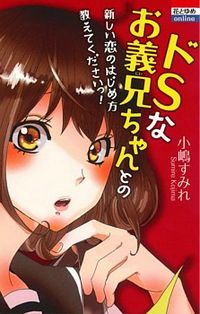 Ie no Naka no S na Koto Manga