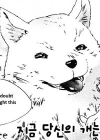 Is Your Dog Safe Now? Manga