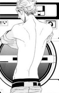Laundry Manga