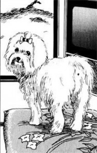 ITO JUNJI'S DOG DIARY Manga