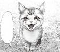 Lovely Stray Cat Manga