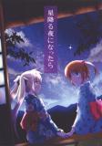 Mahou Shoujo Lyrical Nanoha - When The Starry Night Comes (Doujinshi) Manga