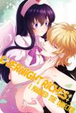 Overnight Riches: I married the Director Manga