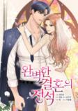 The Essence Of A Perfect Marriage Manga