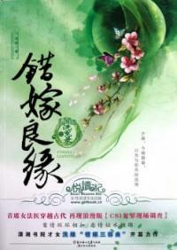 Cuo Jia Liangyuan Zhi Xi Yuan Lu (Novel)