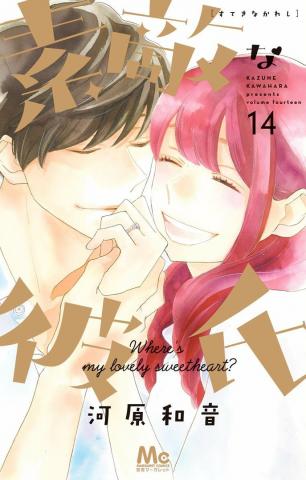 A Wonderful Boyfriend Manga